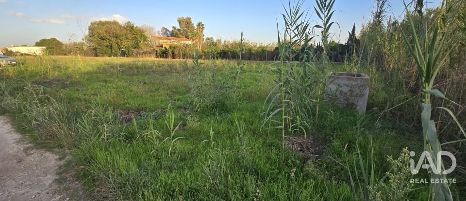 Terreno de 1.642 m² en Oliva (46780)