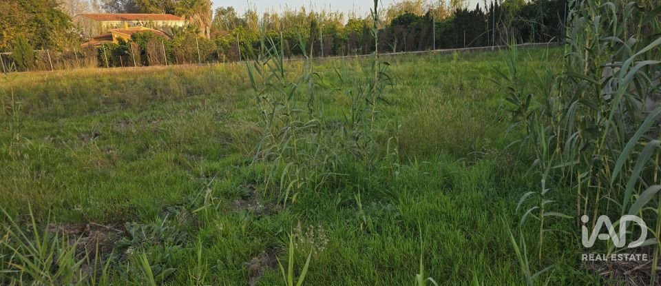 Terreno de 1.642 m² en Oliva (46780)