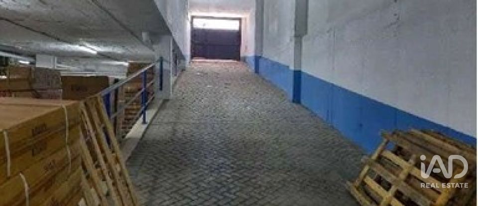 Botiga / Local comercial de 5.000 m² a Elx/Elche (03206)