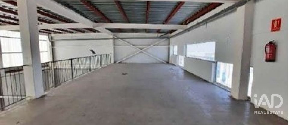 Botiga / Local comercial de 5.000 m² a Elx/Elche (03206)