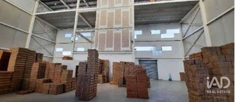 Botiga / Local comercial de 5.000 m² a Elx/Elche (03206)