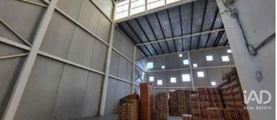 Botiga / Local comercial de 5.000 m² a Elx/Elche (03206)