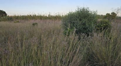 Land of 3,526 m² in Partida Deveses (03779)