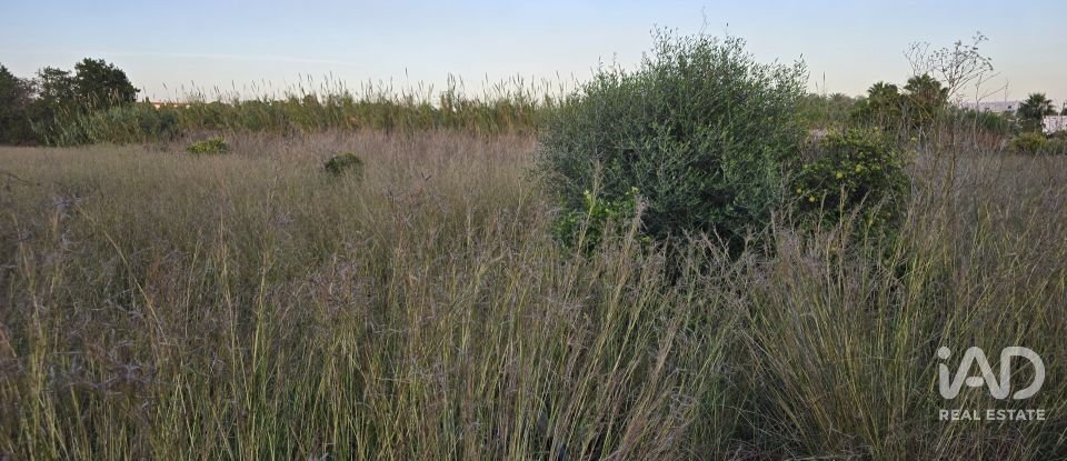 Land of 3,526 m² in Partida Deveses (03779)