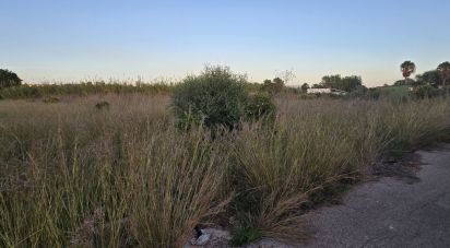 Land of 3,526 m² in Partida Deveses (03779)