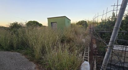 Land of 3,526 m² in Partida Deveses (03779)