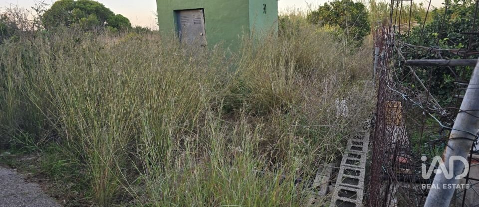 Land of 3,526 m² in Partida Deveses (03779)