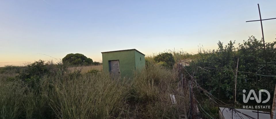 Land of 3,526 m² in Partida Deveses (03779)