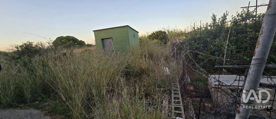 Land of 3,526 m² in Partida Deveses (03779)