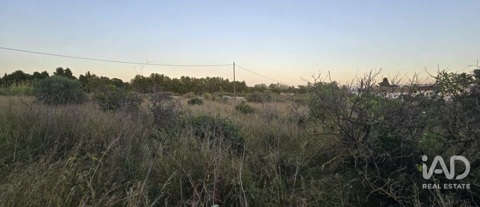 Land of 3,526 m² in Partida Deveses (03779)