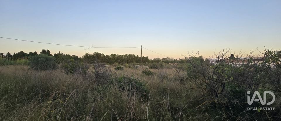 Land of 3,526 m² in Partida Deveses (03779)