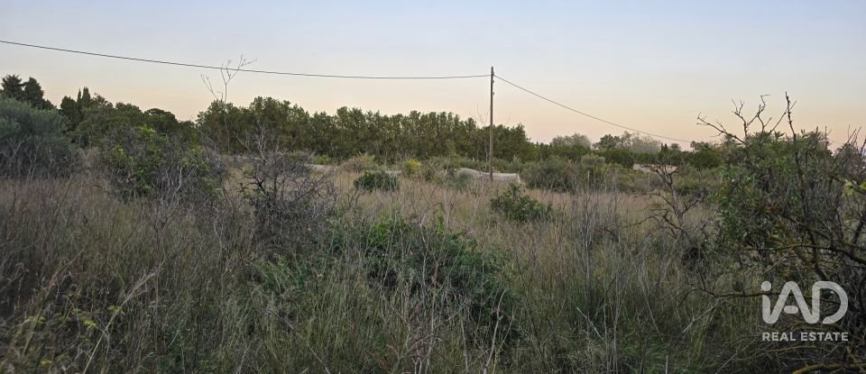 Land of 3,526 m² in Partida Deveses (03779)