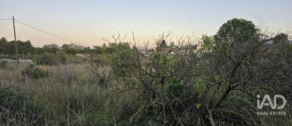 Land of 3,526 m² in Partida Deveses (03779)