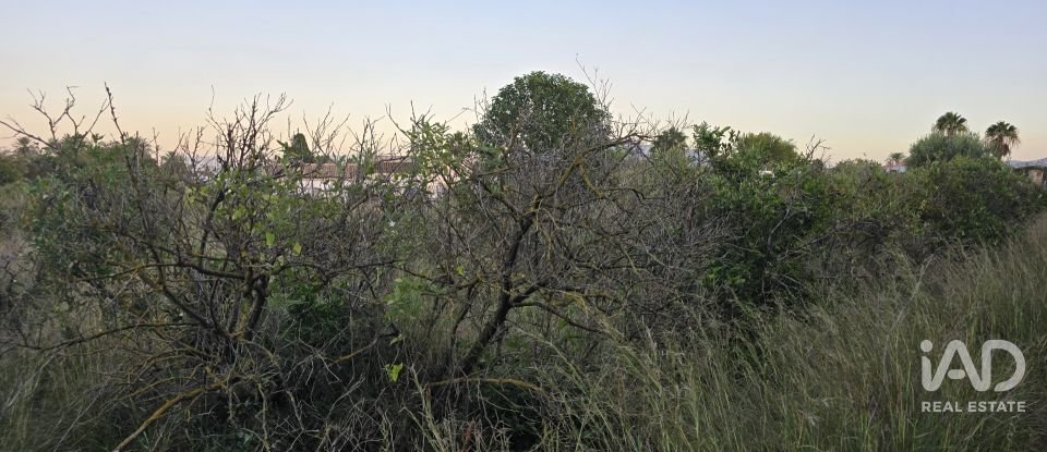 Land of 3,526 m² in Partida Deveses (03779)