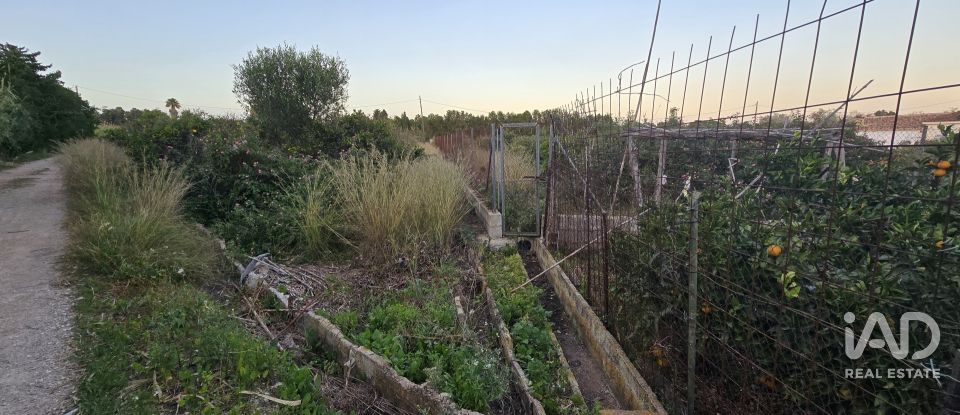 Land of 3,526 m² in Partida Deveses (03779)