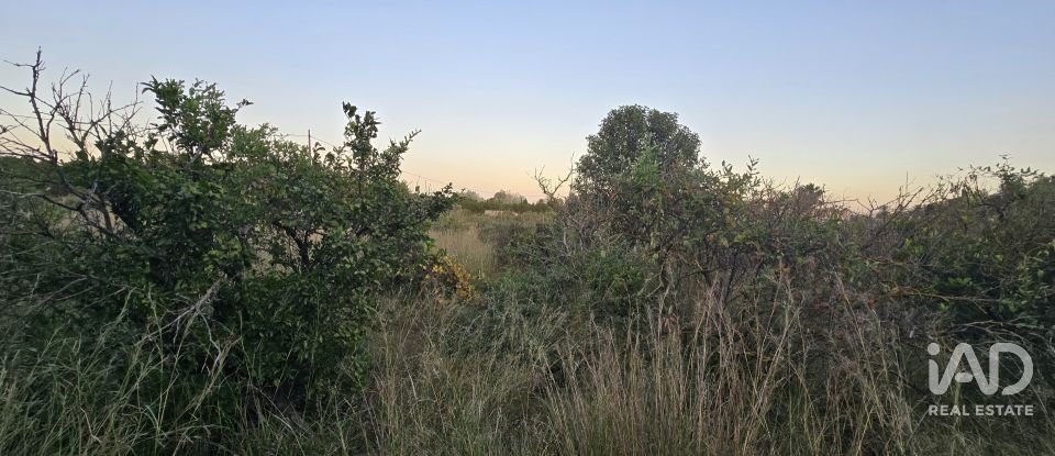 Land of 3,526 m² in Partida Deveses (03779)