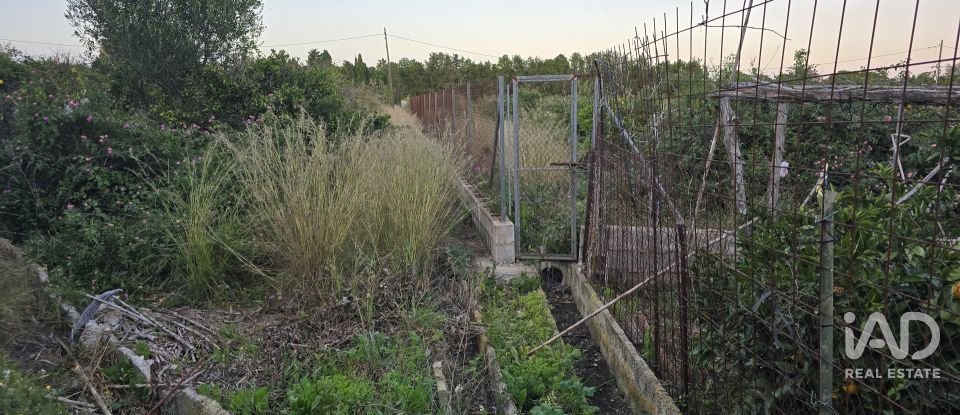 Land of 3,526 m² in Partida Deveses (03779)