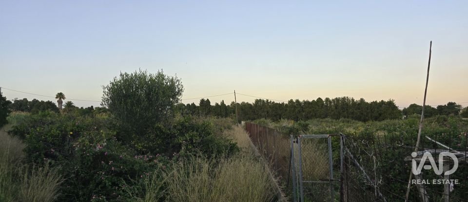 Land of 3,526 m² in Partida Deveses (03779)