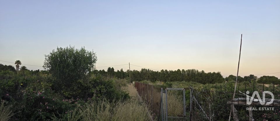 Land of 3,526 m² in Partida Deveses (03779)