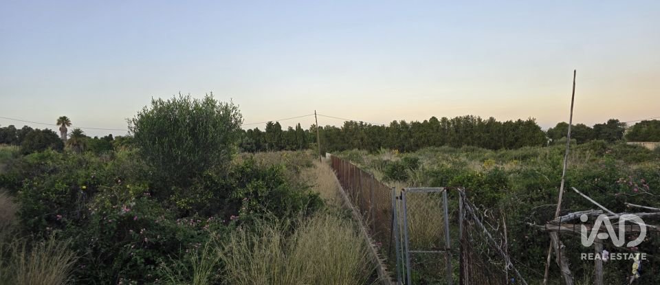 Land of 3,526 m² in Partida Deveses (03779)