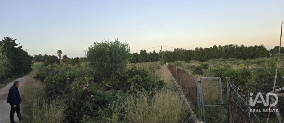 Land of 3,526 m² in Partida Deveses (03779)