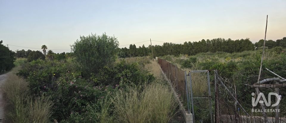 Land of 3,526 m² in Partida Deveses (03779)