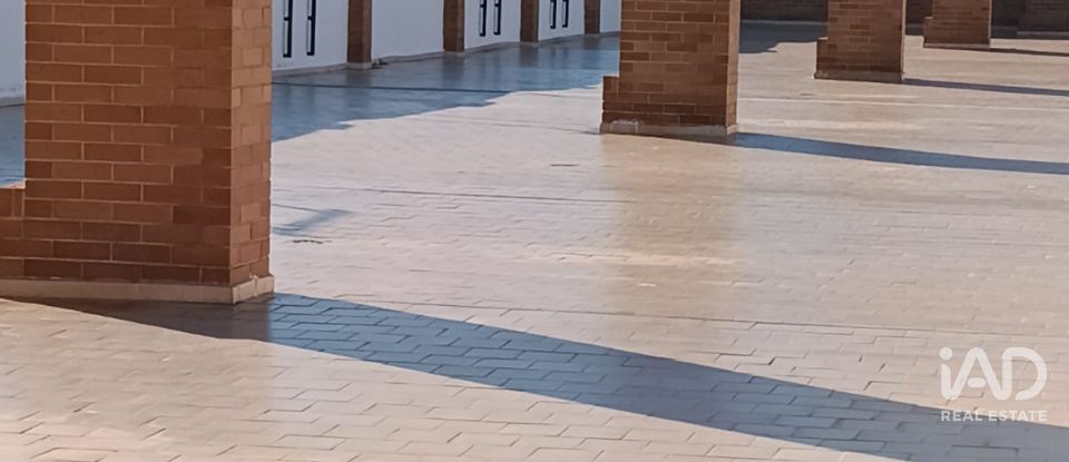 Piso 2 habitaciones de 61 m² en Oropesa/Oropesa del Mar (12594)