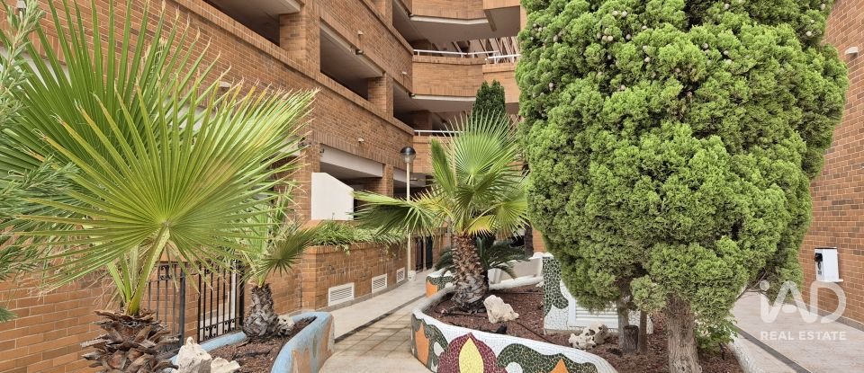 Piso 2 habitaciones de 61 m² en Oropesa/Oropesa del Mar (12594)