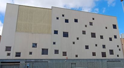 Boutique/Local commercial de 5 000 m² à Elx/Elche (03206)