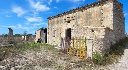 Farm land of 5,983 m² in Llubí (07430)