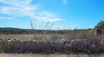Farm land of 5,983 m² in Llubí (07430)