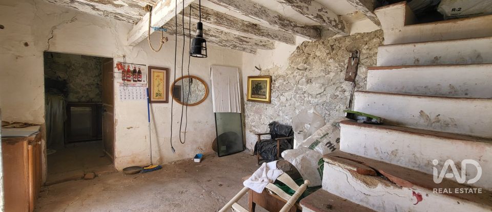 Terrain agricole de 5 983 m² à Llubí (07430)