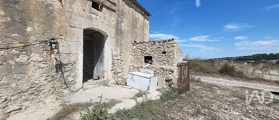 Terrain agricole de 5 983 m² à Llubí (07430)