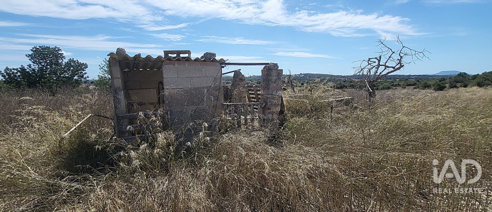 Terrain agricole de 5 983 m² à Llubí (07430)