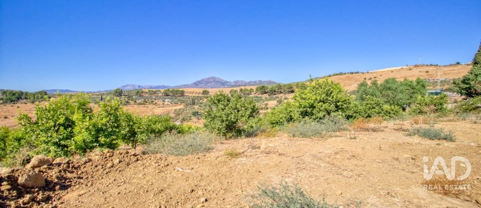 Terreny de 7.890 m² a Pizarra (29560)