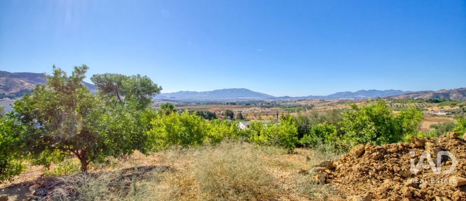 Terreny de 7.890 m² a Pizarra (29560)