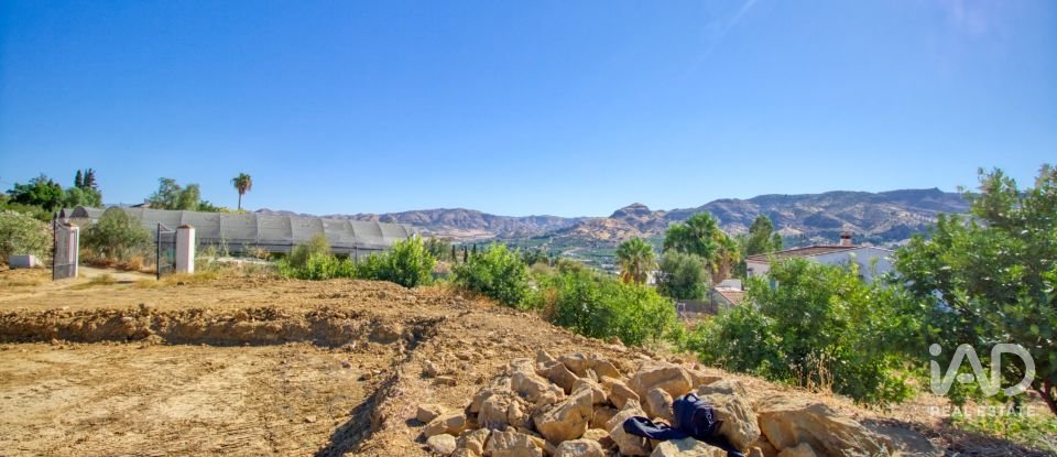 Terreny de 7.890 m² a Pizarra (29560)