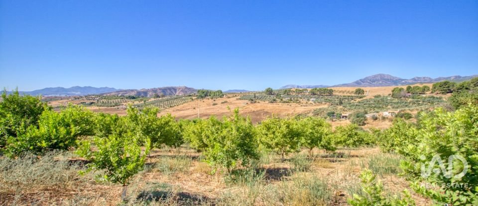 Terreny de 7.890 m² a Pizarra (29560)