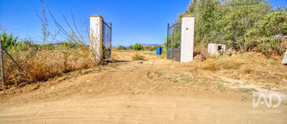 Terreny de 7.890 m² a Pizarra (29560)