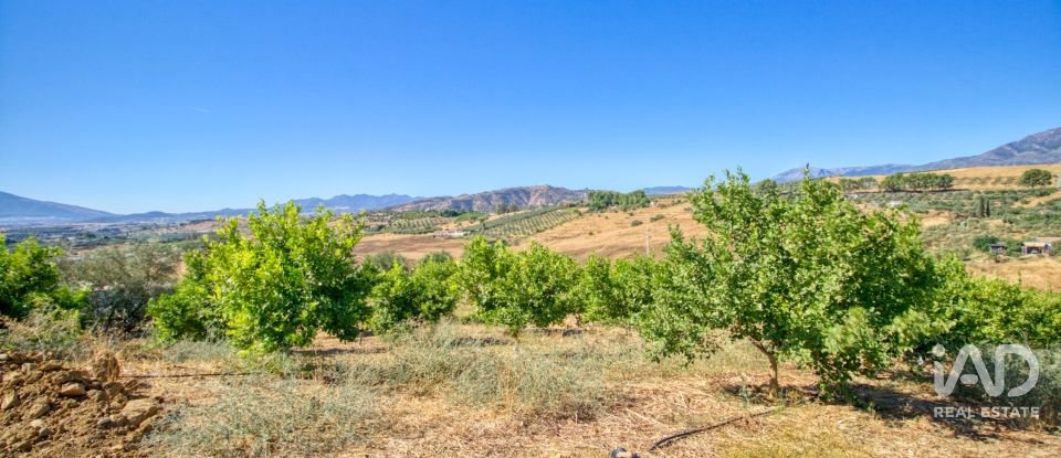 Terreny de 7.890 m² a Pizarra (29560)