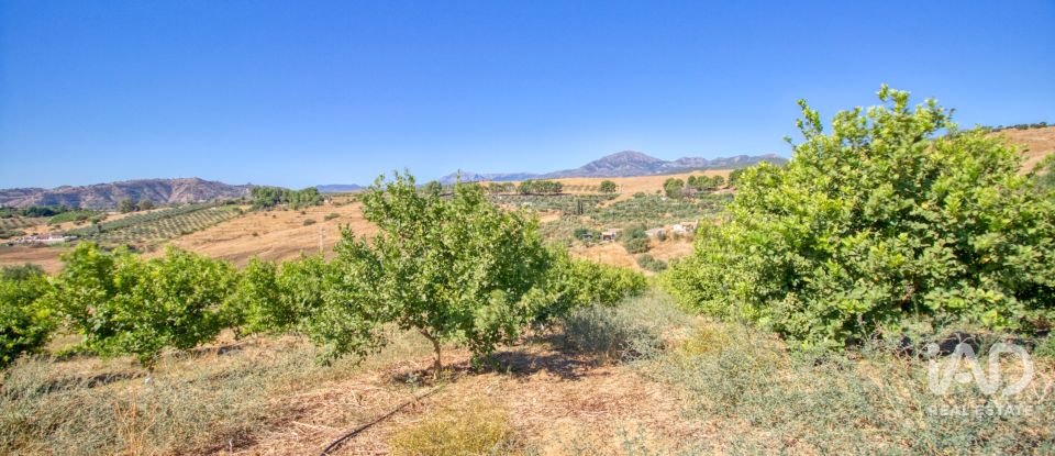 Terreny de 7.890 m² a Pizarra (29560)