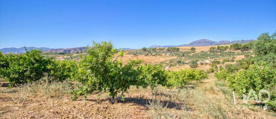 Terreny de 7.890 m² a Pizarra (29560)