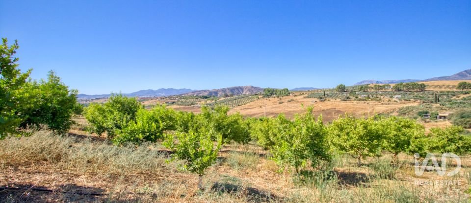 Terreny de 7.890 m² a Pizarra (29560)