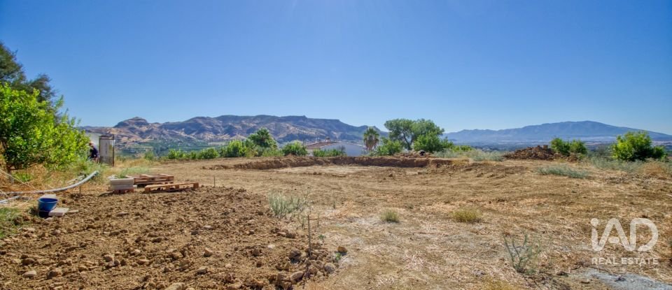 Terreny de 7.890 m² a Pizarra (29560)