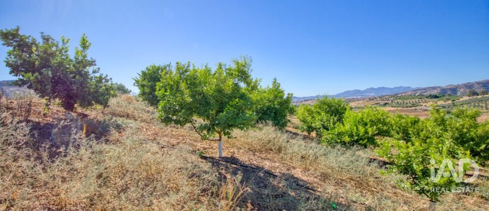 Terreny de 7.890 m² a Pizarra (29560)