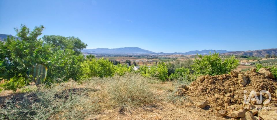 Terreny de 7.890 m² a Pizarra (29560)