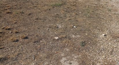 Building plot of 1,008 m² in Zarcilla de Ramos (30810)