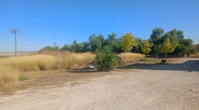 Building plot of 1,008 m² in Zarcilla de Ramos (30810)