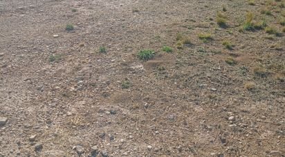 Building plot of 1,008 m² in Zarcilla de Ramos (30810)