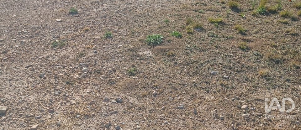 Terreny urbà de 1.008 m² a Zarcilla de Ramos (30810)